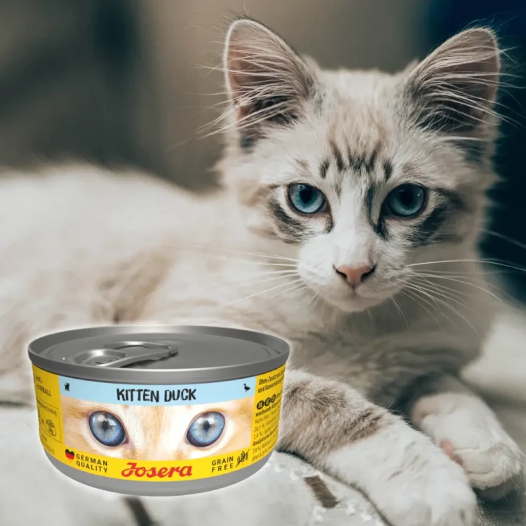 Josera Kitten Kaczka 85g Mokra karma dla kociąt bezzbożowa w sosie