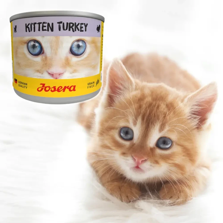 Josera Kitten Indyk 200g Mokra karma dla kociąt bezzbożowa puszka