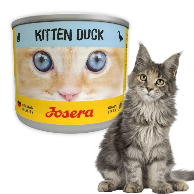 Josera Kitten Kaczka 200g Mokra karma dla kociąt bezzbożowa w sosie