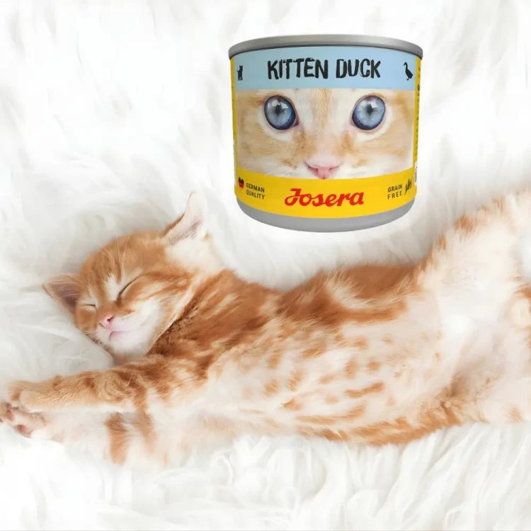 Josera Kitten Kaczka 200g Mokra karma dla kociąt bezzbożowa w sosie
