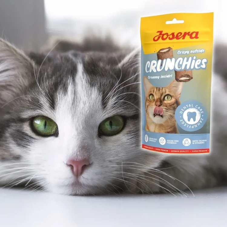 Josera Crunchies Dental 60g Przysmaki dla kota na zęby i kamień nazębny