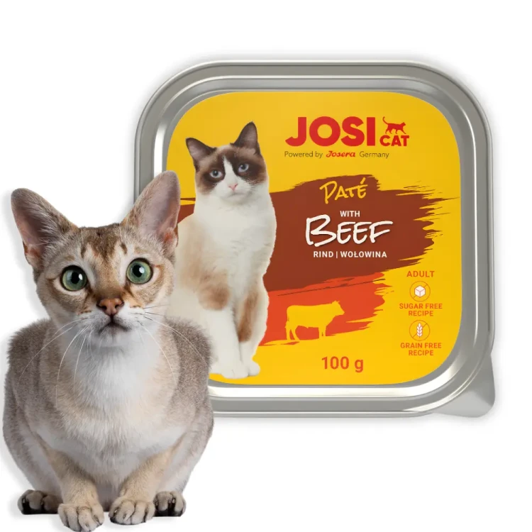 JosiCat Pate z Wołowiną 100g Mokra karma dla kota pasztet