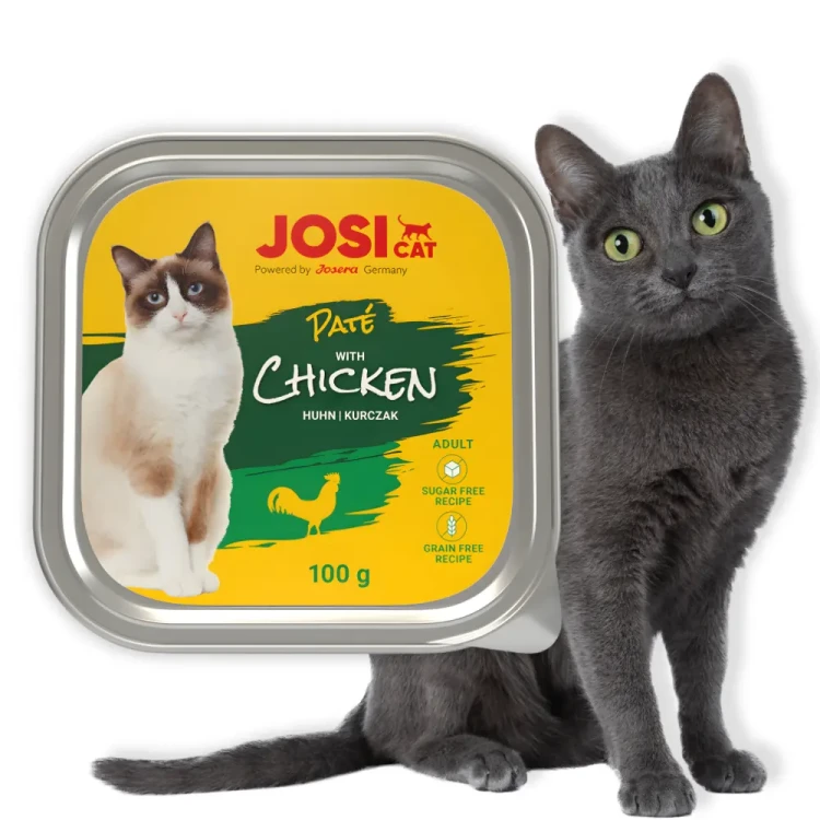 JosiCat Pate z Kurczakiem 100g Mokra karma dla kota pasztet