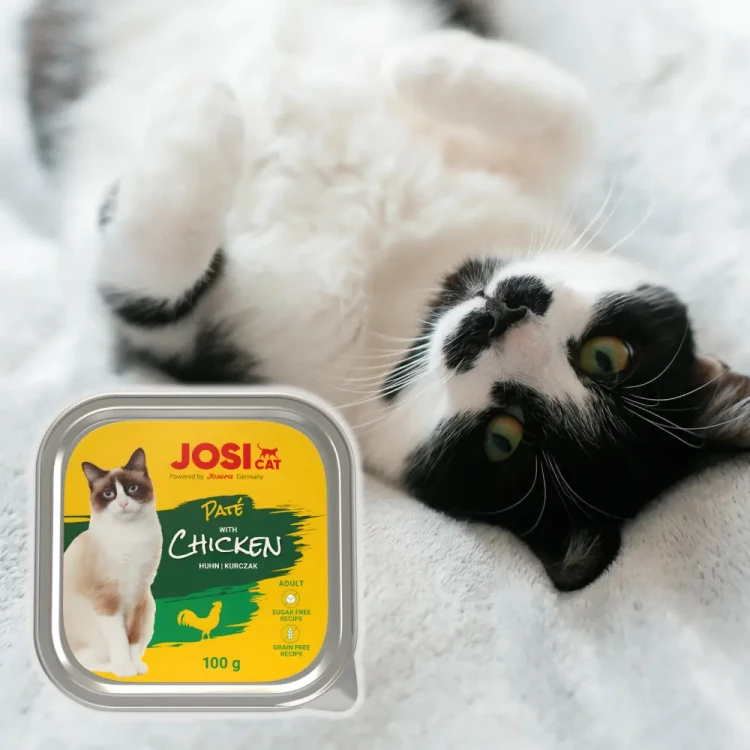 JosiCat Pate z Kurczakiem 100g Mokra karma dla kota pasztet