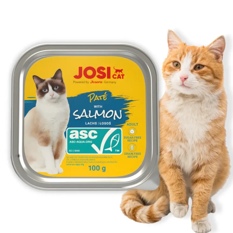 JosiCat Pate z Łososiem 100g Mokra karma dla kota pasztet