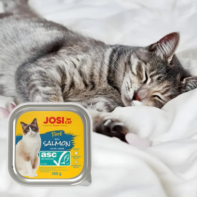 JosiCat Pate z Łososiem 100g Mokra karma dla kota pasztet