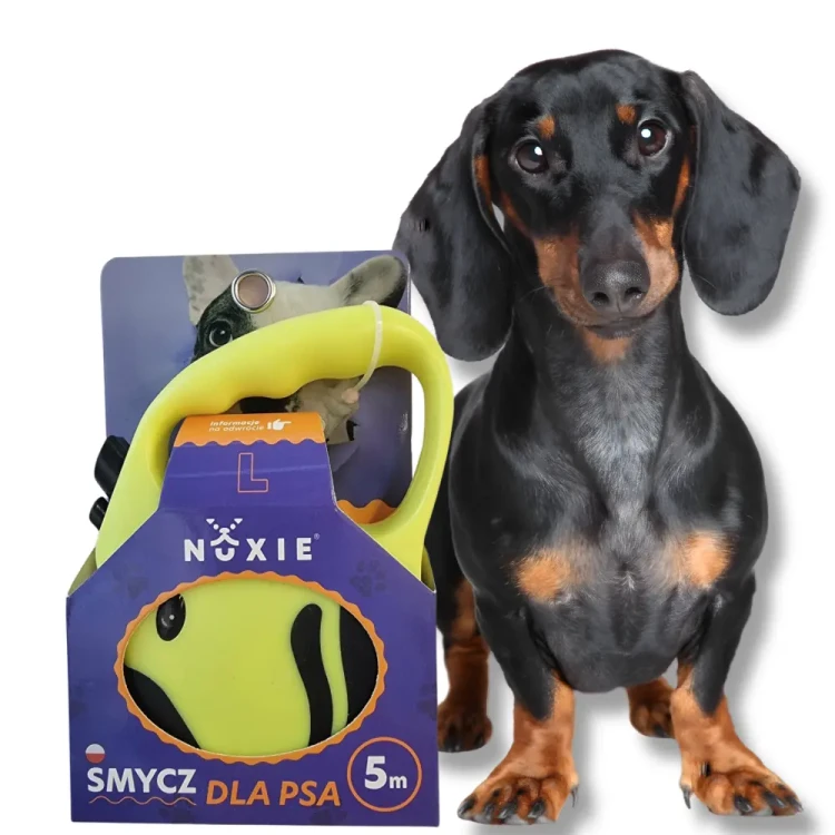 NUXIE Smycz dla psa taśma automatyczna taśmowa 5m Żółty