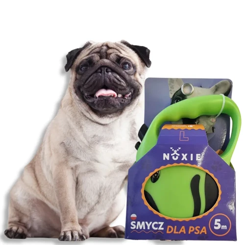 NUXIE Smycz dla psa taśma automatyczna taśmowa 5m Jasny zielony