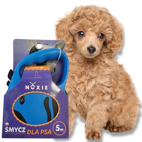 NUXIE Smycz dla psa taśma automatyczna taśmowa 5m Niebieska
