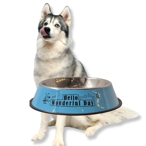 NUXIE Miska dla psa metalowa antypoślizgowa 30cm 1600ml Niebieska