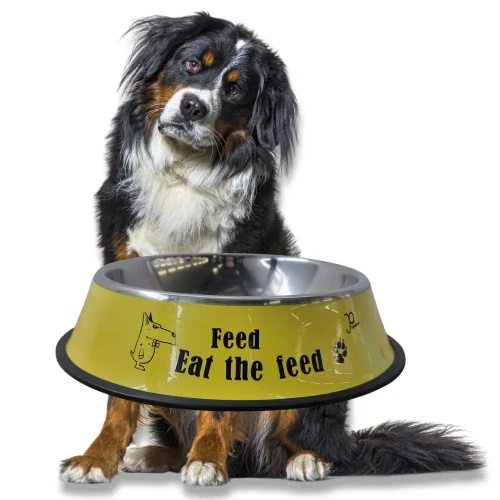 NUXIE Miska dla psa metalowa antypoślizgowa 30cm 1600ml Żółta