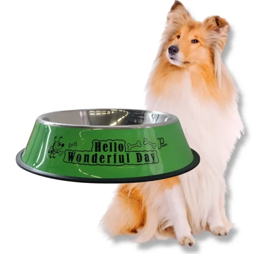 NUXIE Miska dla psa metalowa antypoślizgowa 30cm 1600ml Zielona