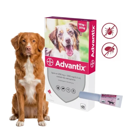 Advantix Spot-On 10-25kg krople na pchły i kleszcze dla psa 1 pipeta
