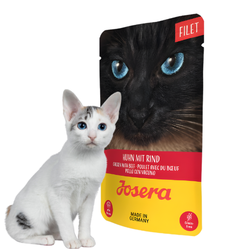 Josera Filet Kurczak z Wołowiną 16x70 g  Mokra karma dla kota w saszetce