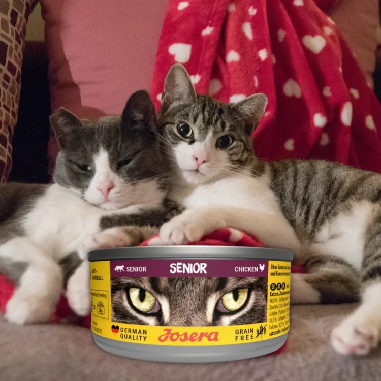 Josera Senior Kurczak 85g Mokra karma dla kota starszego bezzbożowa