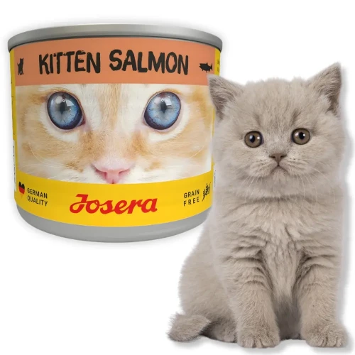 Josera Kitten Łosoś 6x200g Mokra karma dla kociąt bezzbożowa w sosie