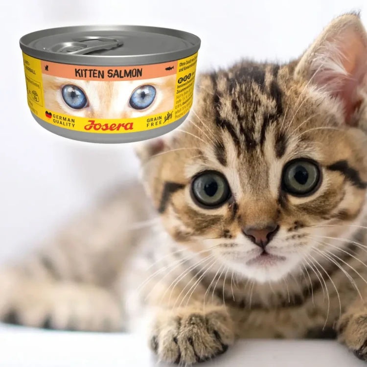 Josera Kitten Łosoś 6x85g Mokra karma dla kociąt bezzbożowa w sosie