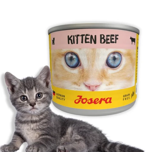 Josera Kitten Wołowina 6x200g Mokra karma dla kociąt bezzbożowa w sosie