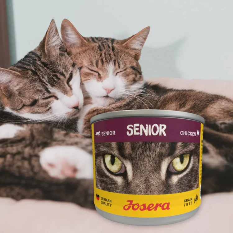 Josera Senior Kurczak 6x200g Mokra karma dla kota starszego bezzbożowa