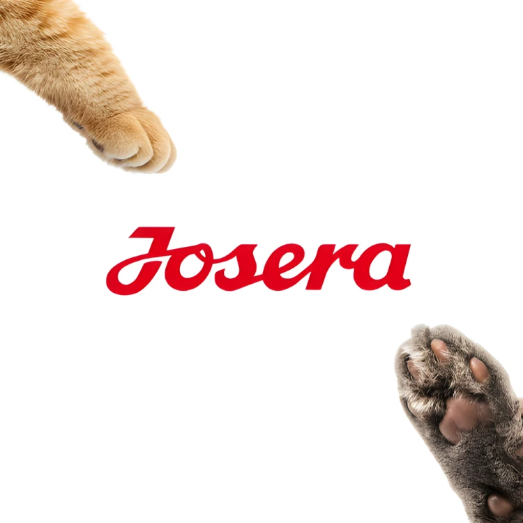 Josera Adult Indyk 6x200g Mokra karma dla kota bezzbożowa w puszce