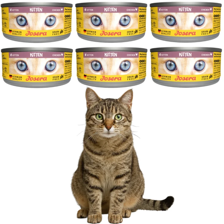 Josera Kitten Kurczak 6x85g Mokra karma dla kociąt bezzbożowa w sosie