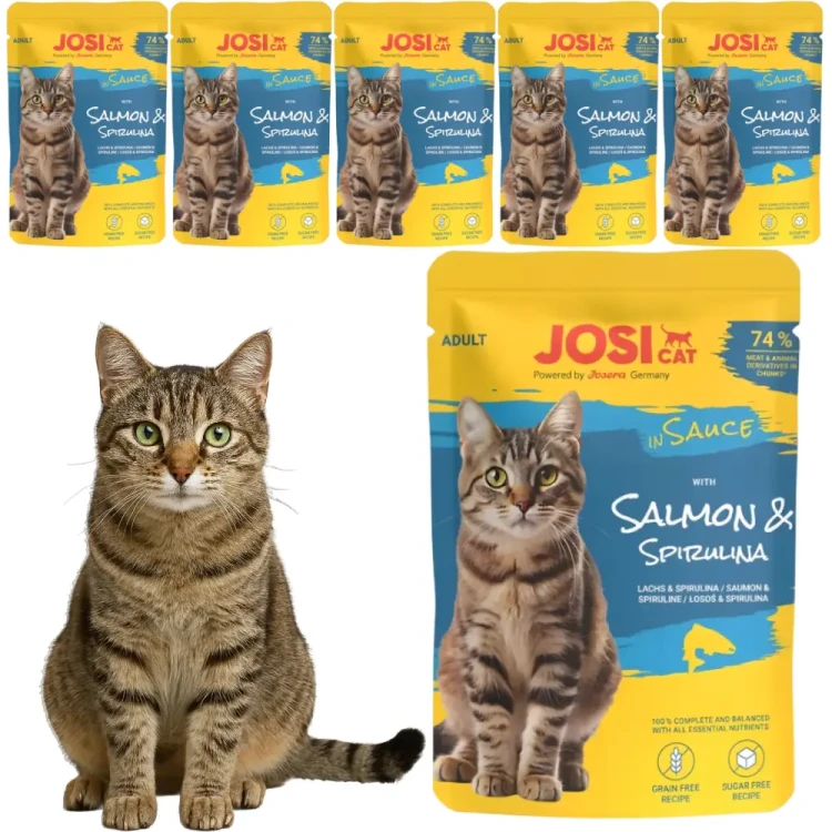 JosiCat Rich z Łososiem i Spiruliną w Sosie 6x85g Mokra karma dla kota saszetka