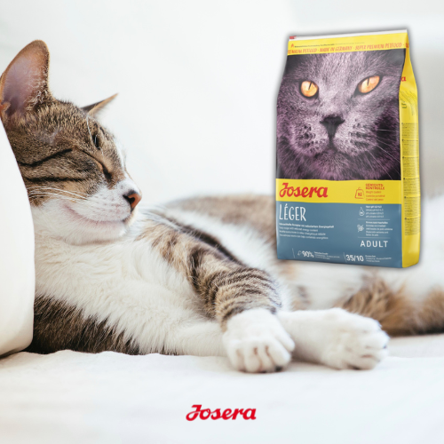 Josera Leger 2 kg  Bezzbożowa karma dla kotów o obniżonej aktywności
