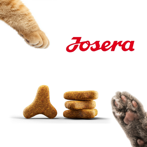 Josera Leger 2 kg  Bezzbożowa karma dla kotów o obniżonej aktywności