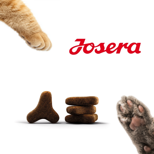 Josera Marinesse 2 kg  Bezzbożowa karma dla dorosłych kotów z łososiem