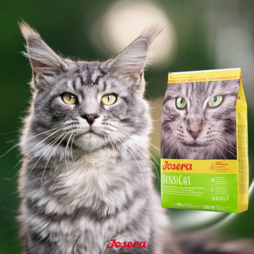 Josera SensiCat 2 kg Sucha karma dla kota z drobiem, wrażliwy układ