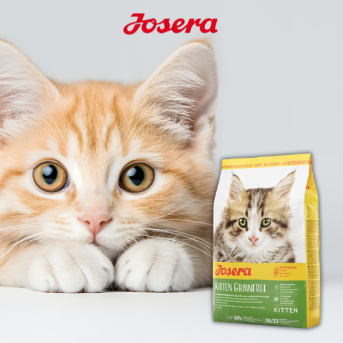 Josera Kitten Grainfree 2 kg Sucha karma dla kociąt bez zbóż