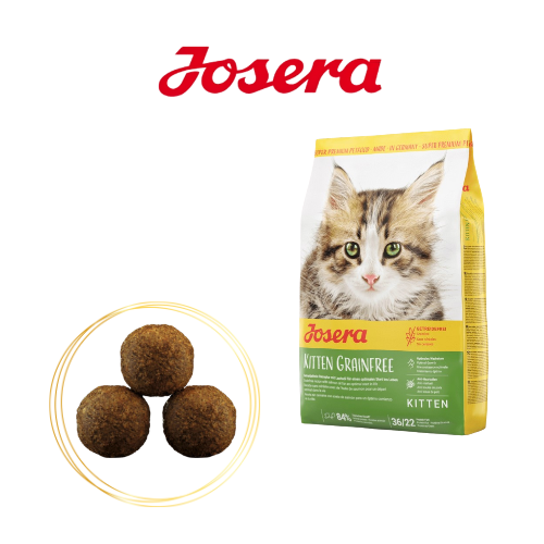 Josera Kitten Grainfree 2 kg Sucha karma dla kociąt bez zbóż