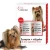 Over Zoo Zestaw dla Yorka Szampon 250ml i Odżywka 240ml dla yorkshire terriera