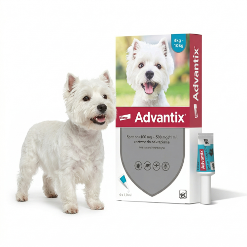 Advantix Krople na kleszcze i  pchły dla psa  4-10kg. Spot-On 4 pipety