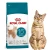 Royal Canin Ageing 15+ 4kg Karma dla starszych kotów Seniorów