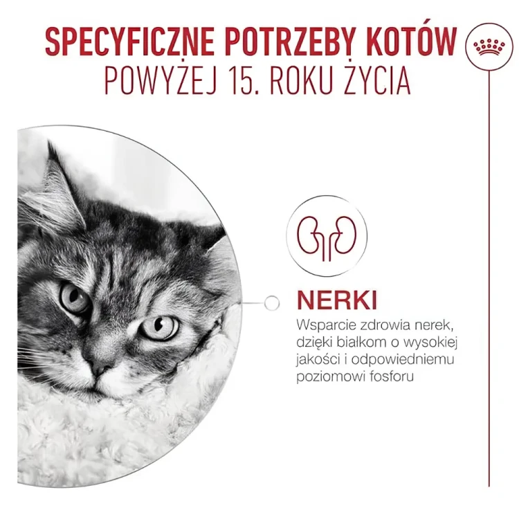 Royal Canin Ageing 15+ 4kg Karma dla starszych kotów Seniorów