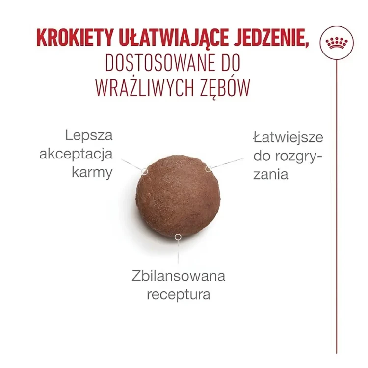 Royal Canin Ageing 15+ 4kg Karma dla starszych kotów Seniorów