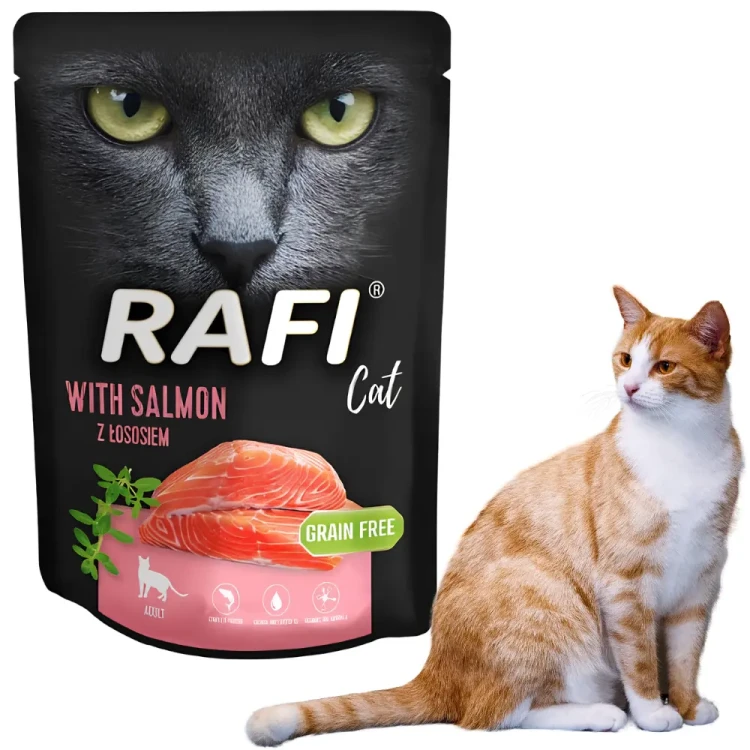 Rafi kot z łososiem saszetka 300g