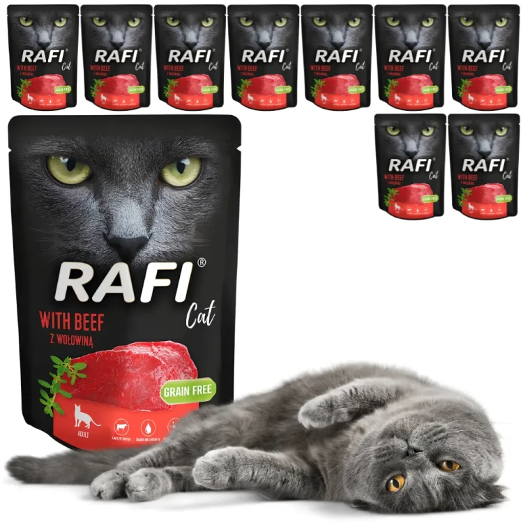 Rafi kot z wołowiną saszetka 10x300g