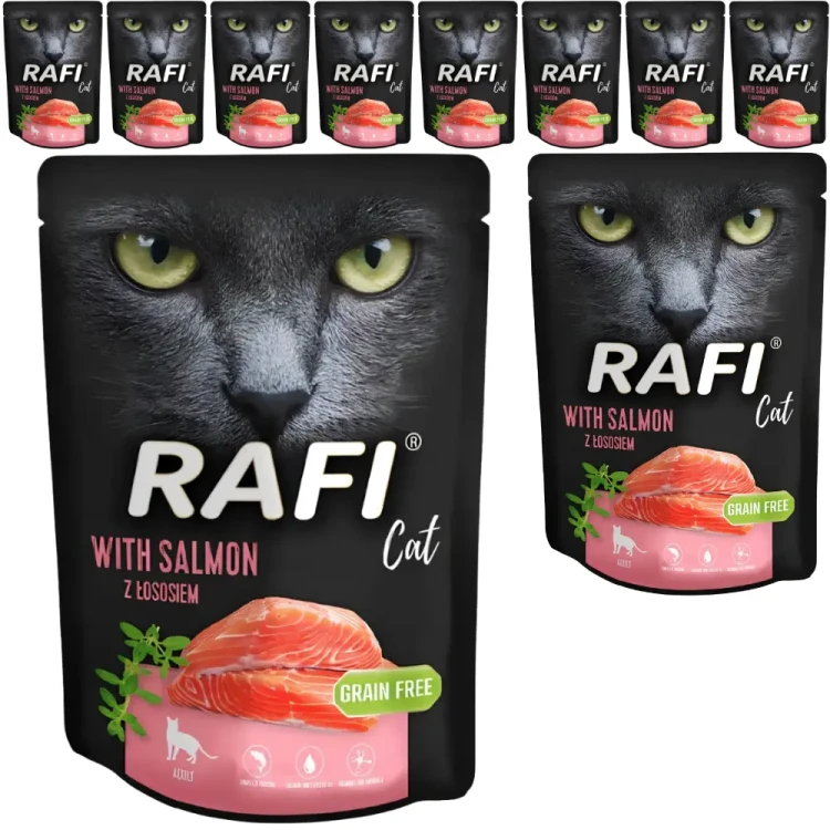 Rafi kot z łososiem saszetka 10x300g
