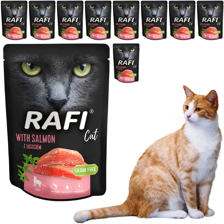 Rafi kot z łososiem saszetka 10x300g