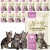 Nekko Daily Jagnięcina w Sosie 12x85g mokra karma dla kota kitten