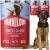Carnilove Wild Meat Salmon&Turkey Puppies 6x400g Mokra karma dla szczeniąt