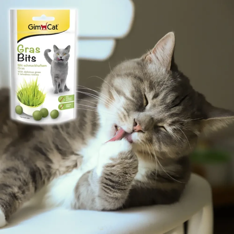 GimCat Gras Bits Tabs 40g przysmaki dla kota z trawą