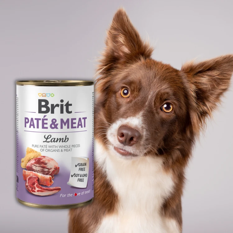 brit-pate-meat-pasztet-pies.png