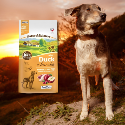 Baltica Natural&Balance 3 kg Sucha karma dla psa z kaczką i wieprzowiną