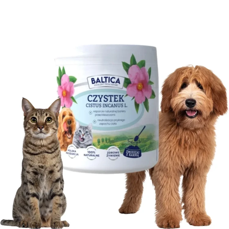 Baltica Czystek 50g Naturalna ochrona przed kleszczami dla psa i kota