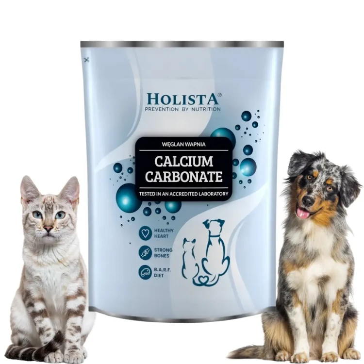 Holista Calcium Carbonate 1000g Węglan wapnia na nerki i mocne kości psa i kota