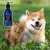 Holista Salmon Oil 250 ml Czysty olej z łososia atlantyckiego dla psów i kotów
