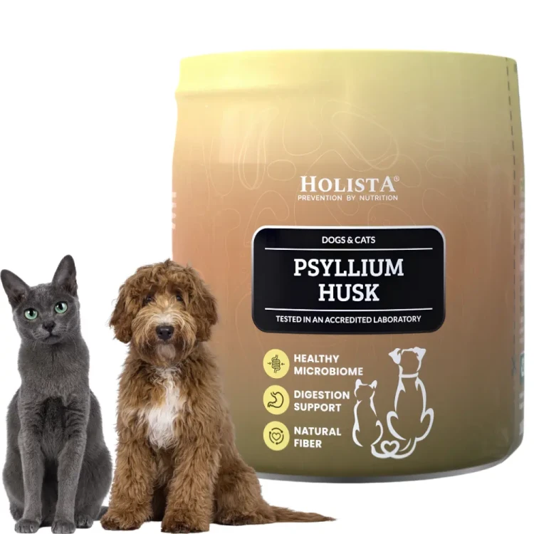 Holista Psyllium Husk 100g Łuska babki jajowatej wsparcie trawienia dla psów i kotów